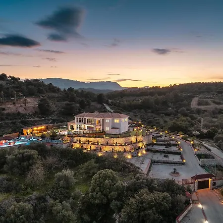 Paramithia فيلة *