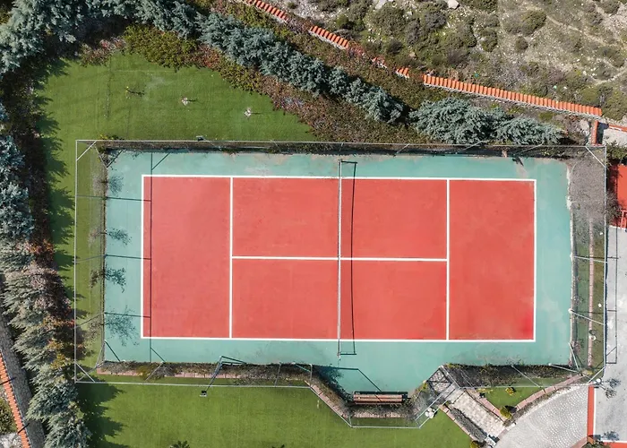 Paramithia فيلة *